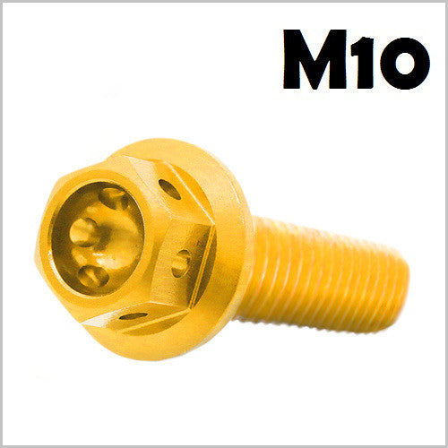 M10 Pre-drilled Flanged Hex Head Bolts