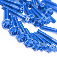 Blue Kawasaki Ninja 300 2013-2017 CNC Crankcase Cover Bolt Kit