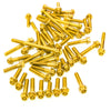 Gold Suzuki DL250 V-Strom 2017-2019 CNC Crankcase Cover Bolt Kit