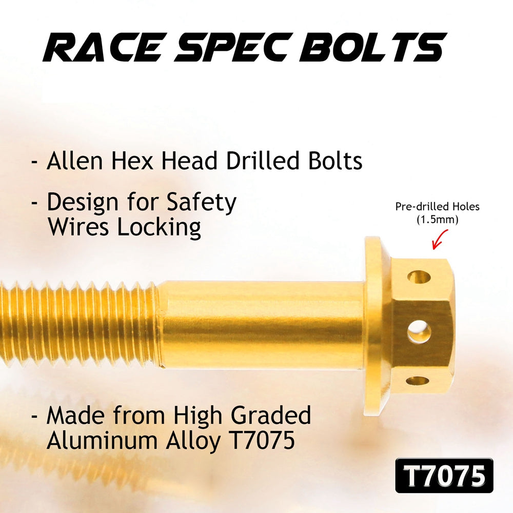 Details of Suzuki B-King GSX1300K 2008-2016 CNC Crankcase Cover Bolt Kit