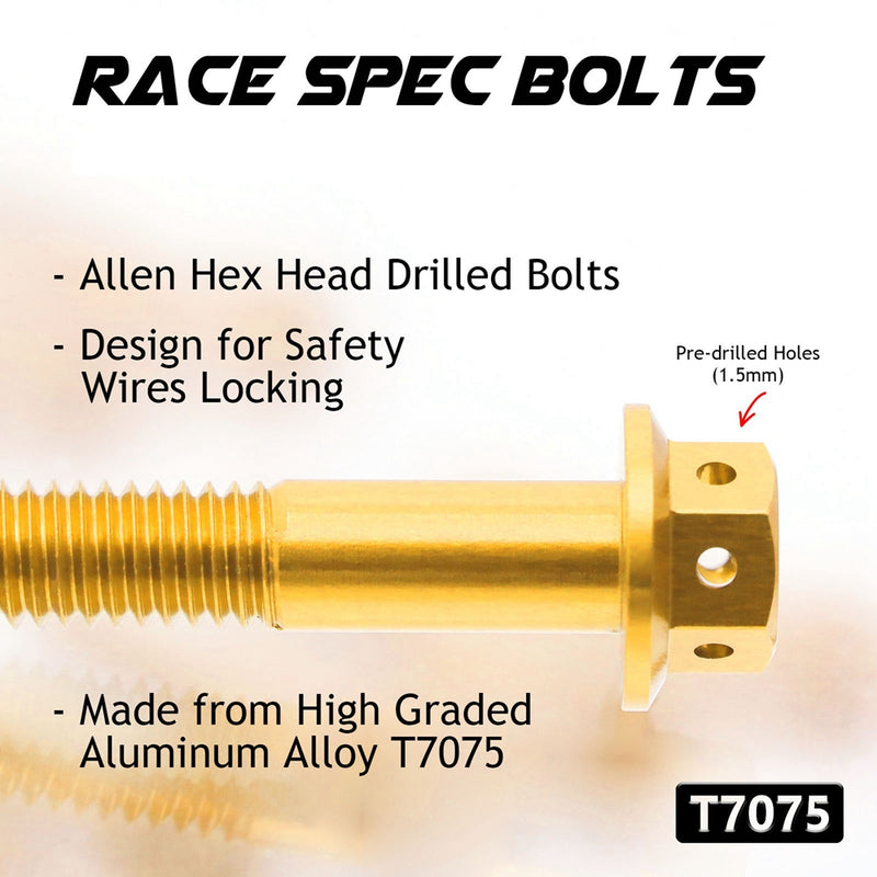 Details of Suzuki B-King GSX1300K 2008-2016 CNC Crankcase Cover Bolt Kit
