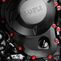 Installation of Suzuki DL250 V-Strom 2017-2019 CNC Crankcase Cover Bolt Kit